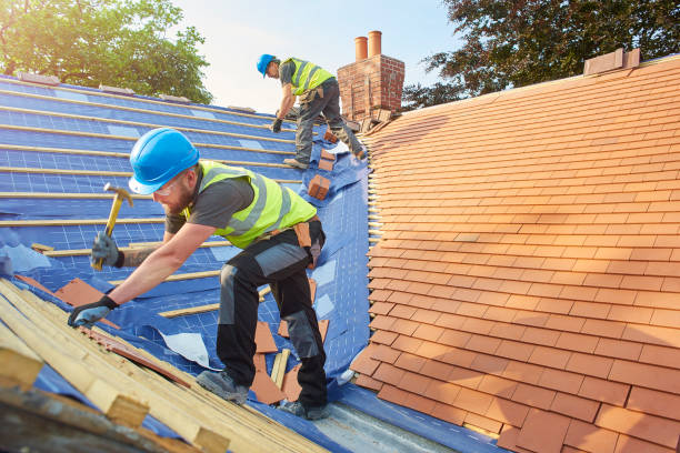 Best Skylight Installation and Repair  in Big Rock, IL